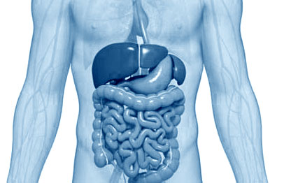 TRANSPLANTE DE MICROBIOTA FECAL